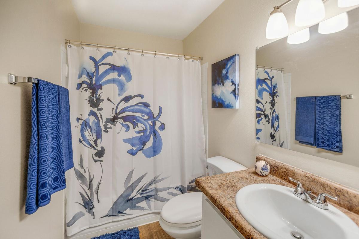 Bathroom at Summer Trace Apartments